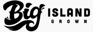 BIG logo