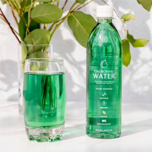 Chlorophyll Water: Liquid Chlorophyll (ChlorophyllWater.com)