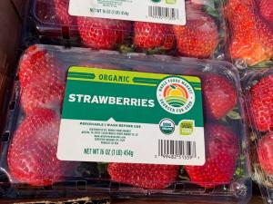 strawberries packed in Sourced for Good package in field