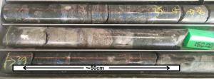 Photo of core drilling samples showing visible cassiterite