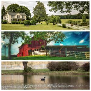 Windy Hill Farm’ is a 57.5± acre country estate with a 4 bedroom 2 bath 2,400±  sq. ft. farm house, barns, shop, storage buildings, 2 ponds and fencing