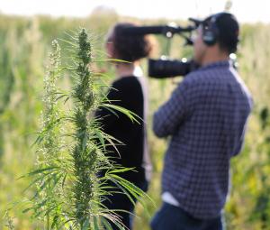 Behind the scenes, Mary Janes: The Women of Weed