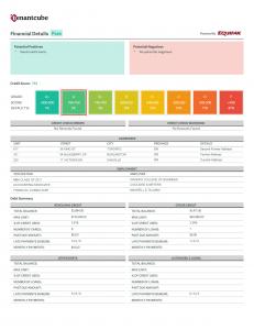 The image shows the summary of financial status of a candidate applying for a rental unit.