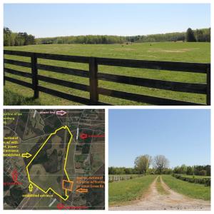 118.51± acres of timber and fenced pasture land -- Offered in tracts of 114 +/- acres, 4.5± acres & in its entirety of 118.5± acres -- in Keysville, VA