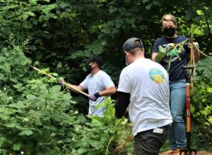 On World Environment Day 2021, volunteers from the Seattle Church of Scientology helped restore Kinnear Park by digging up and chopping out invasive species.