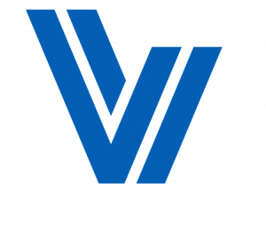 V20 Group