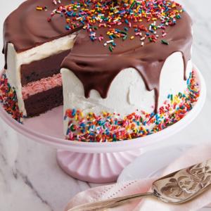 Ice Cream Cakes Baking Innovation