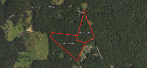 parcels of 16.7± and 25.7± acres of wooded land in Madison County VA