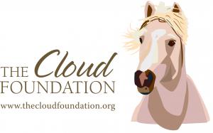 The Cloud Foundation Logo