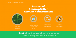 Amazon Seller Account Reinstatement