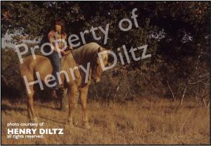 MEMORABILIA TO BE AUCTIONED OFF ONLY ON ITHINKILOVEYOU The picture is horizontal, taken by Henry Diltz. David Cassidy is to the left of the picture, riding Apollo, a light brown horse. The picture was taken in the mountainous neighborhood of Laurel Canyon, CA and that is what you see in the rest of the pictures.