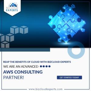 Advanced Consulting Partner