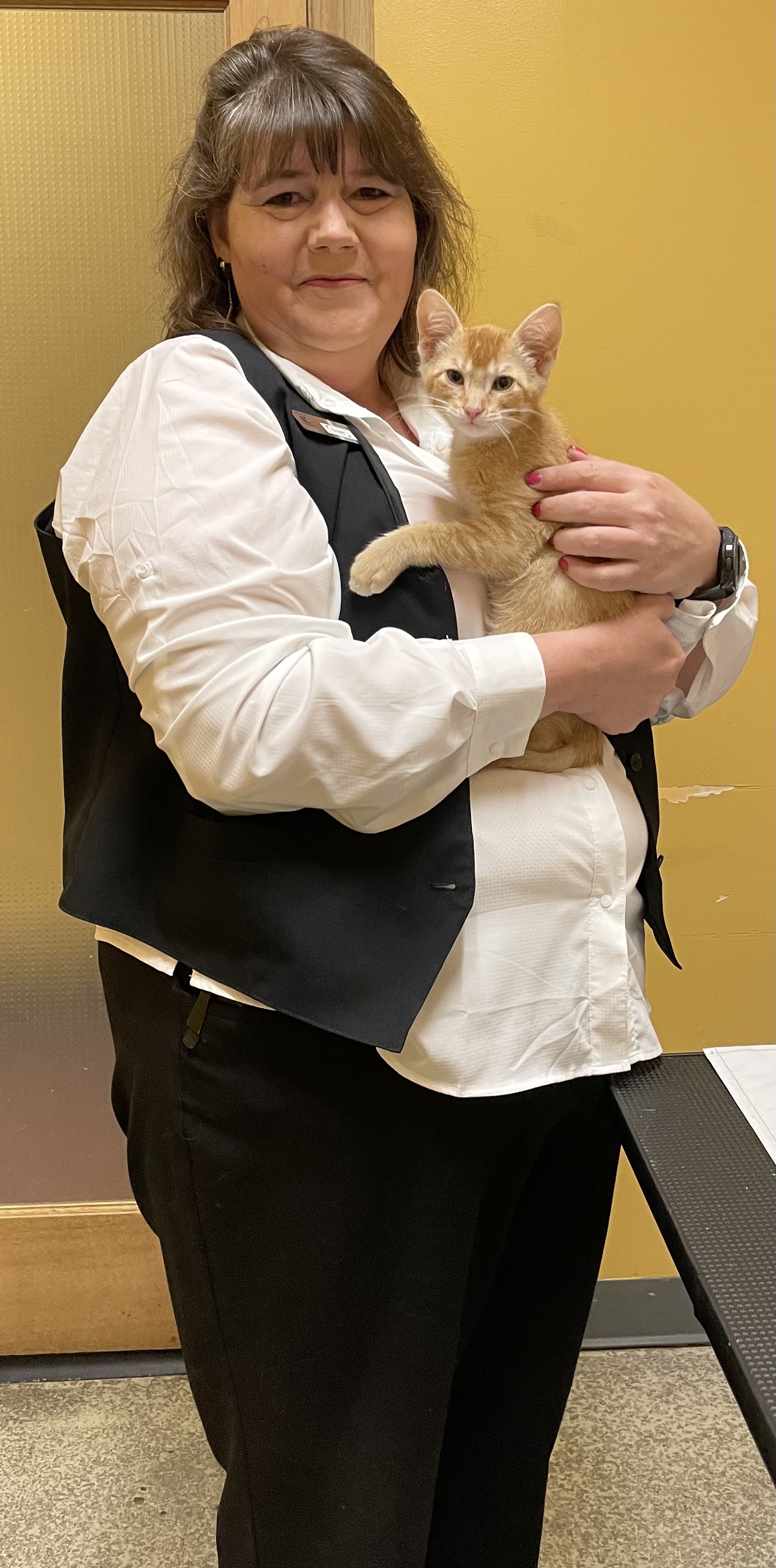 A Decade Carol House Quick Fix Pet Clinic Celebrates 10Year