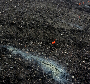 A "Scab" is where concentrated toxic landfill gas has denatured and destroyed cover soil and clay cap material. The gas pours out in high levels at these locations. When scabs break out in "swarms" of a dozen or more, it becomes a dangerous situation for field workers.