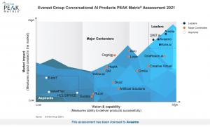 Everest Group PEAK Matrix®