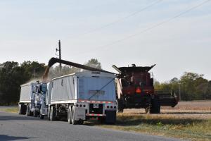 Photo field being harvested