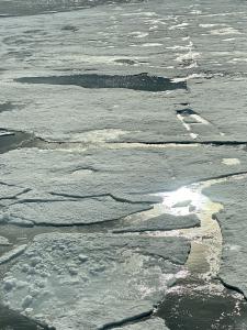 Photo of close-up fragmented ice-pack in Antarctica