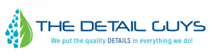 The detail guys logo