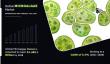 Microalgae Market By Segments, Key Leaders, Industry Demand And Forecast 2028