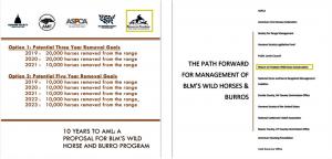 Recently in the news, the non-profit organization ‘Return To Freedom’ seems to be trying to distance themselves from their wrong-headed insistence and support for the so-called wild horse management plan called ‘The Path Forward For Management Of BLM’s Wild Horses & Burros’; also known simply as the ‘Path Forward’ (See Images) Return To Freedom was a key supporter of the incidious Path Forward plan, which included massive roundups!