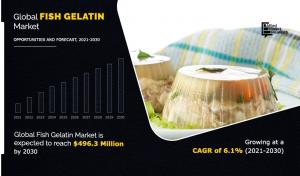 Fish Gelatin Market