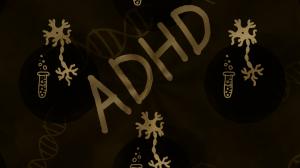 ADHD, attention deficit hyperactivity disorder, was first described in the early 1900’s as a condition where a child “could not control their behavior the way a typical child would, but they were still intelligent Parents are being told that their child has a ‘mental disorder’ but in actual fact there is no independent, valid test for ADHD nor is there any data to indicate that ADHD is due to a brain malfunction.