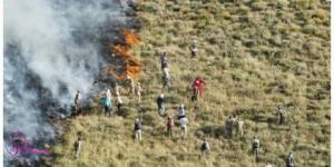 October 13, 2021 - Some 140,000 hectares of Iran’s natural areas have suffered 169,000 billion Tomans of damage due to fire over the past decade. (The state-run Hamshahri newspaper – December 14, 2020)