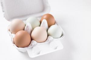 Egg Packaging Market