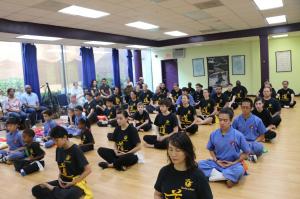 Intensive Training Camp: Internal Kung Fu: Qi and Tai Chi , Zen Tai Gong | Shaolin Institute