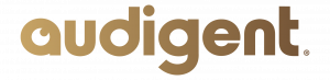 Audigent logo - use this one