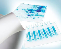 Transfer Membranes are used for the transfer of proteins among the gel matrices Transfer Membrane Market