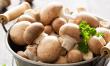 Functional Mushroom Market to Witness Remarkable Growth at a CAGR of 9.3% by 2021–2030