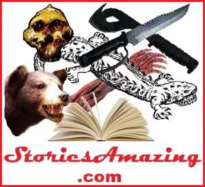 StoriesAmazing Publisher Logo