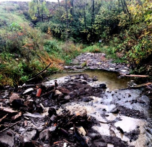 Waste contaminates a creek next to Lafarge's Lordstown Landfill. Lafarge's landfill takes 95% of its waste from the East Coast. Hundreds of complaints by neighbors of sickening odors and illness have been filed.