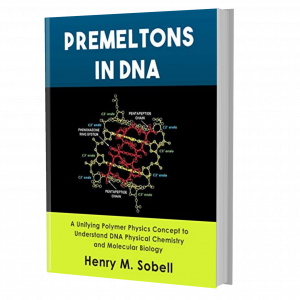 Premeltons in DNA: A Unifying Polymer Physics Concept to Understand DNA Physical Chemistry and Molecular Biology 1