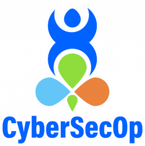 Cyber security consulting