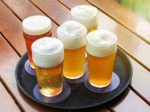 India Beer Market Report