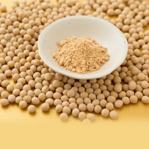 Global Soya Flour Market