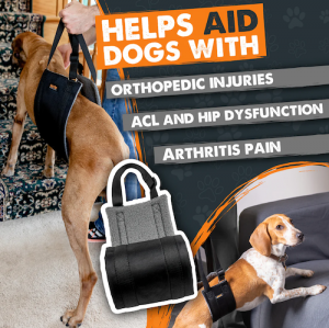 Dog lift harness helps lift large dog into car and small dog onto couch