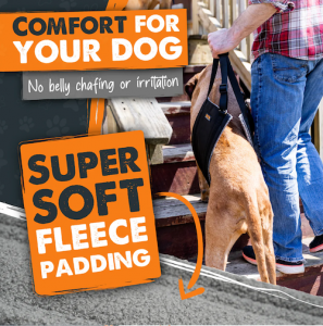 The dog lift harness is comfortable for dogs because it's lined with super soft fleece padding