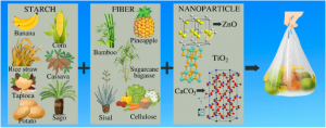 Starch-based Bioplastics