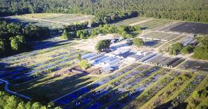 aerial of cannabis business property