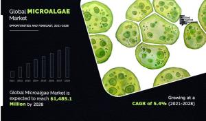 Microalgae Microalgae