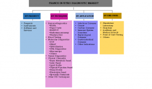 France IVD Market