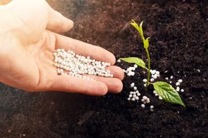 Fertilizer Additives Market Report