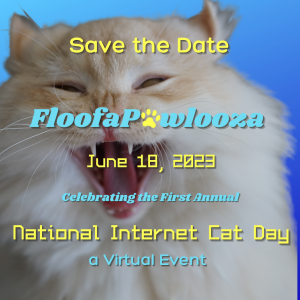 Fluffy cat is really happy about FloofaPawlooza virtual festival.