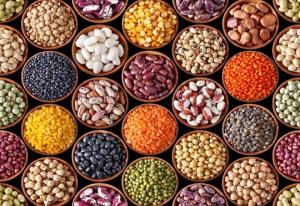 Global Hybrid Seeds Market