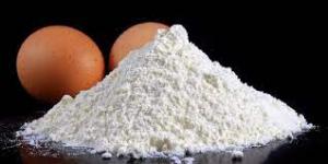 Egg Protein Powder Market Future Prospects