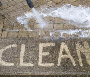 pressure washing for a home in Palm Harbor