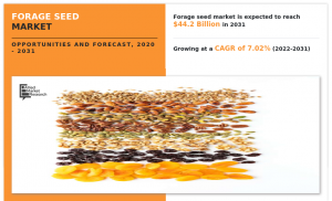 Forage Seed Market 2031